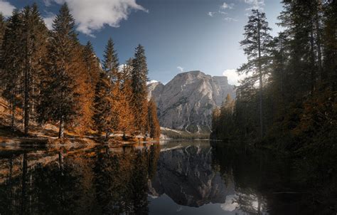 Wallpaper Autumn Forest The Sky Clouds Light Trees Mountains