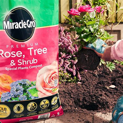 Miracle Gro Premium Rose Tree Shrub Compost 40l Homebase