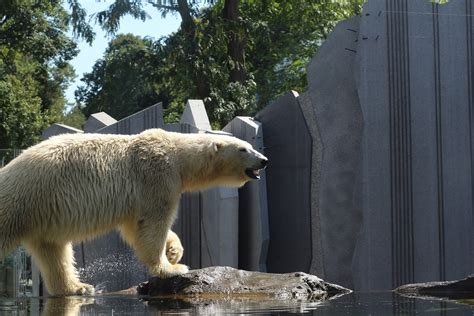 Best zoos in Europe, which cities not to miss