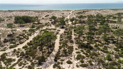 Casa Da Oliveira Villa Louer Praia Do Pego Comporta Villanovo