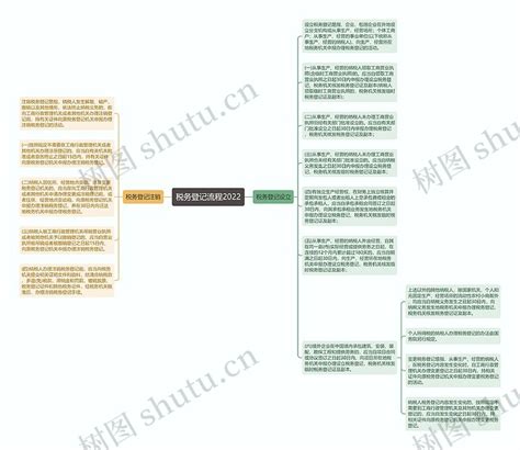 税务登记流程2022思维导图编号p8114180 Treemind树图