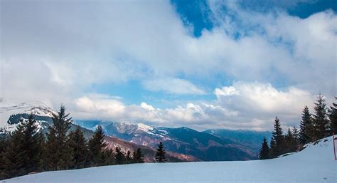 Stara Planina Sme Taj Hoteli Ski Centar Ski Staze