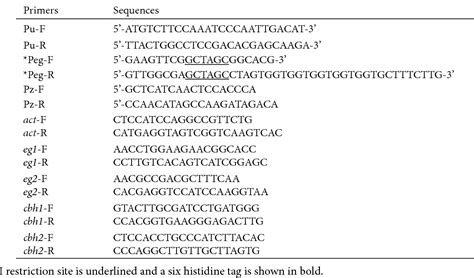 Penicillium Decumbens Semantic Scholar