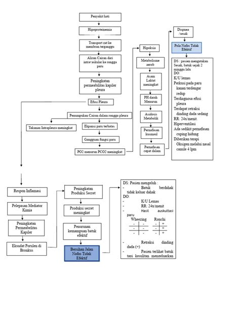 Patoflow Diagram Efusi Pleura Pdf