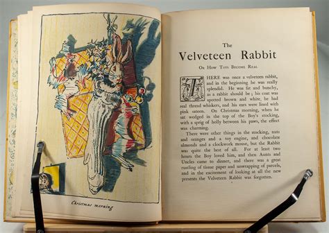 The Velveteen Rabbit By Williams Margery Fine Hardcover St