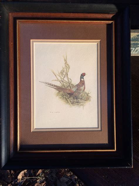 Matted Vintage Pheasant Print by 2BlueDogsDesign on Etsy, $18.00 ...