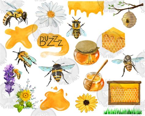 Watercolor Honey Bee Clipart Png Bundle For Creators Etsy