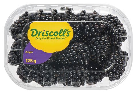 Buy Driscoll S Blackberry Mexico USA 125 G Online In UAE Talabat UAE