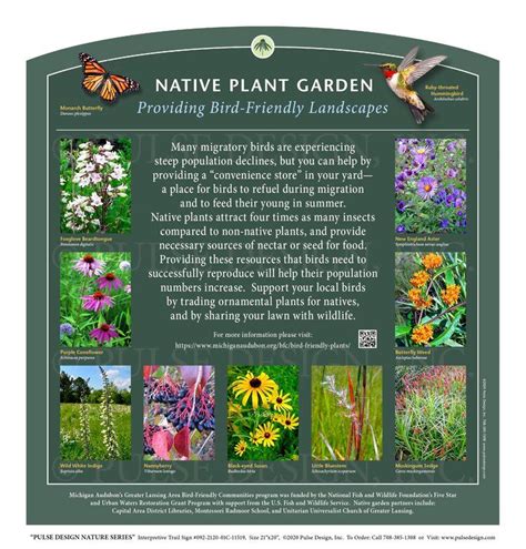 Outdoor Interpretive Signs Pollinator Garden Insects Monarch Butterfly ...