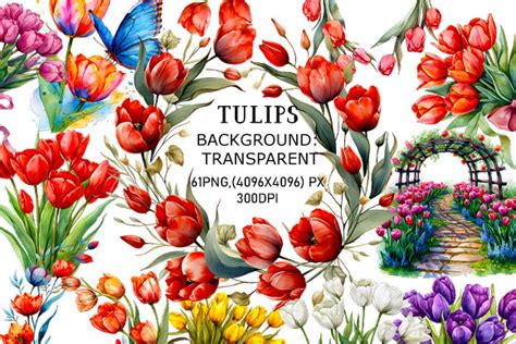 Watercolor Tulips Clipart Bundle Graphic By Design Valley Creative