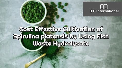 Cost Effective Cultivation Of Spirulina Platensis By Using Fish Waste