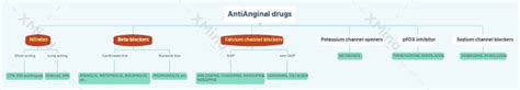 Antianginal Drugs Classification | PDF