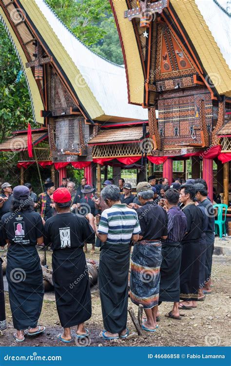 Entierro Tradicional En Tana Toraja Foto De Archivo Editorial Imagen