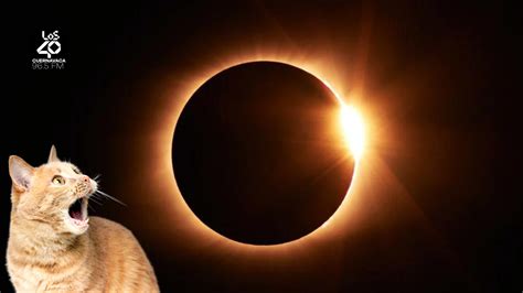 La Uam Obsequiar Detalle Este De Octubre Para Disfrutar Del Eclipse