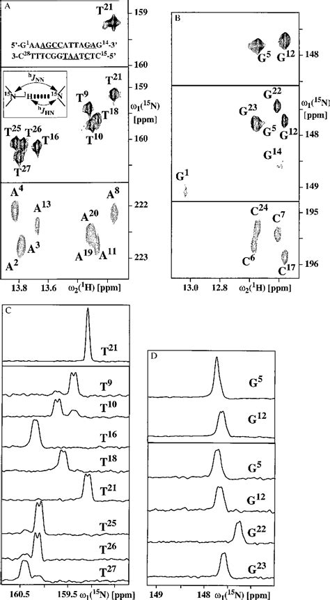 Figure 1 From NMR Scalar Couplings Across Watson Crick Base Pair