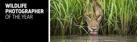 Wildlife Photographer of the Year 54 exhibition | Natural History ...