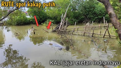 Rute Spot Kakap Putih Kali Jajar Eretan Indramayu Youtube