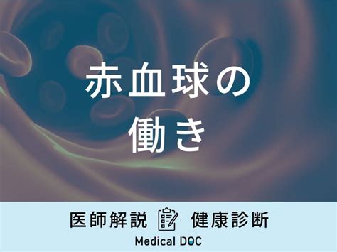 「赤血球の働き」はご存知ですか？不足すると発症する病気も医師が解説！ メディカルドック