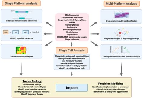 Jpm Special Issue Recent Developments In Cancer Systems Biology