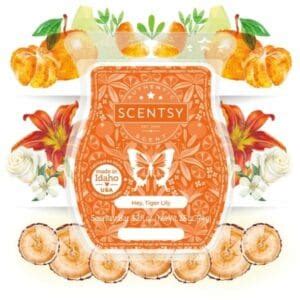 Scentsy March 2022 Warmer Scent Of The Month Gnome For Easter Hey