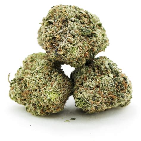 El Chapo Og Aaa Indica West Coast Releaf Online Dispensary Shop