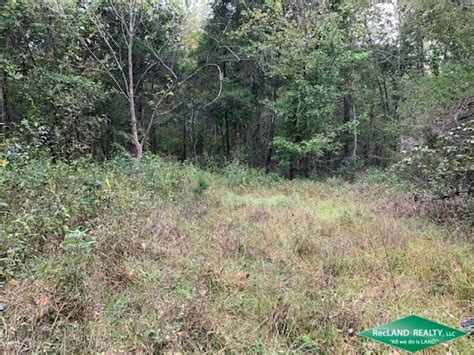 Ac Hunting Tract With Small Cabin In Great Location Hunting Land