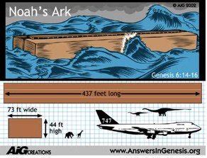 Species And Kinds And The Ark Answers In Genesis