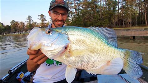 The Biggest Crappie In The Lake Youtube