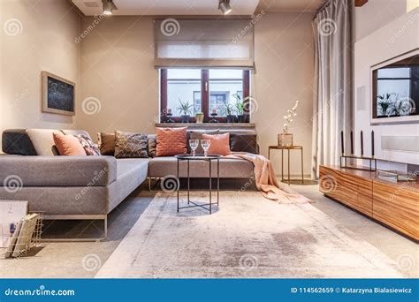 Cozy living room interior stock image. Image of blanket - 114562659