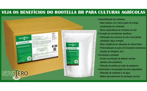 Conhe A As Vantagens Do Inoculante Micorr Zico Rootella Br Para