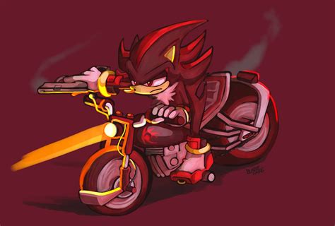 Shadow The Hedgehog With Motorcycle