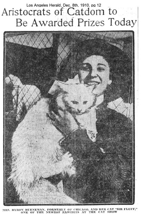 This ford amphitheater los angeles show had a shock ending 16