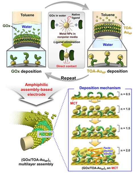 Electrode Design Paves Way For Image Eurekalert Science News Releases