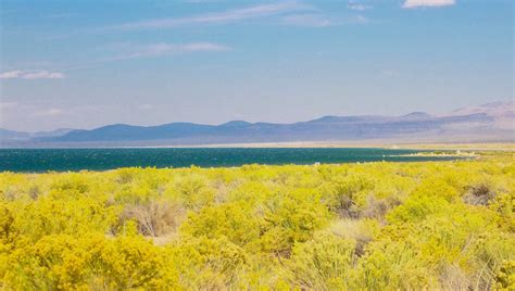 Mono Lake And Its Sea Of Natural Mysteries Historic Mysteries