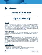 Light Microscopy Lab Theory Pdf Virtual Lab Manual Light Microscopy