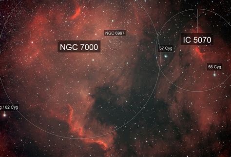 NGC7000 IC5070 The North America And Pelican Nebula Sergei Sankov