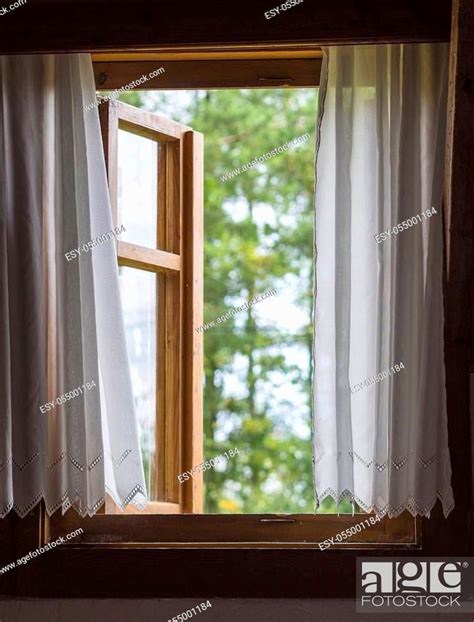 old rustic wooden window with white curtains with view on defocused green trees, Stock Photo ...