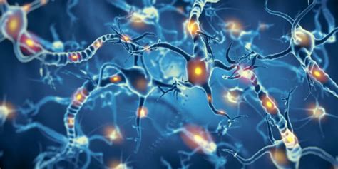 Cerebellar Cognitive Affective Syndrome Symptoms Prognosis Test