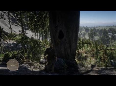 chicks treasure map location  solution red dead redemption