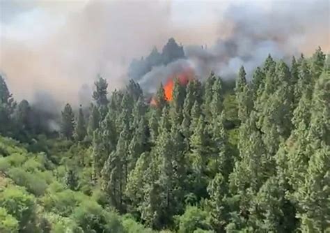 Alerta Por Riesgo De Incendios Forestales En Islas Occidentales Y Gran