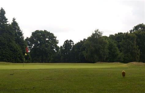 Leighton Buzzard Golf Club in Leighton Buzzard, Central Bedfordshire, England | Golf Advisor