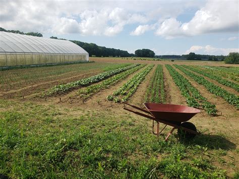 Natural Earth Organic Farms