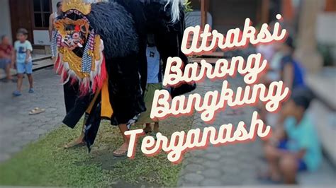 Atraksi Barong Bangkung Youtube