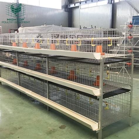 Kenya Farm 3 Tiers H Type Hot Galvanized Poultry Battery Broiler