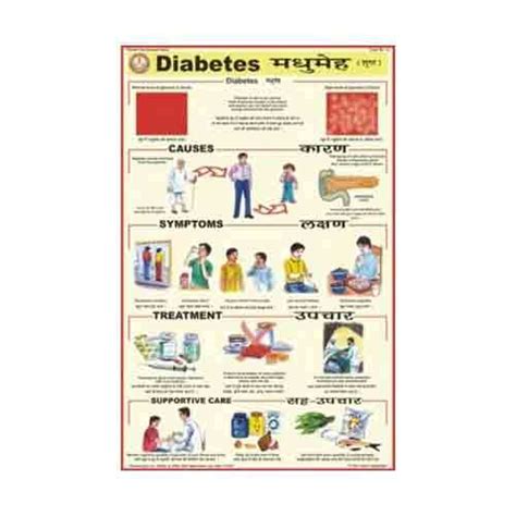 Diabetes Charts at best price in Pune by Bep Edu World | ID: 3874112848