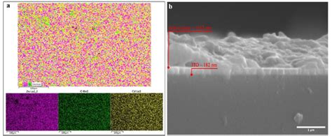 A Sem Edx Mapping Image Of Cd Doped Zno And B Cross Section Sem