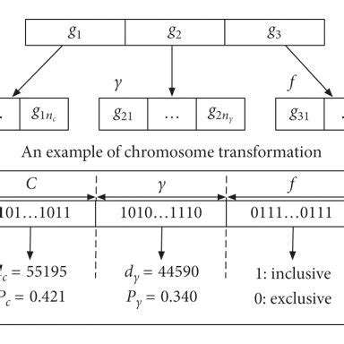 The locus of chromosome consists of three parts: C,γ, and the features... | Download Scientific ...