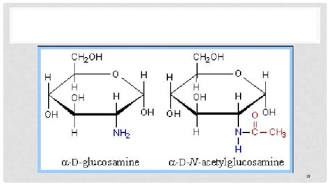 BIOCHEMISTRY I CARBOHYDRATE 1 Carbohydrate CH 2 On