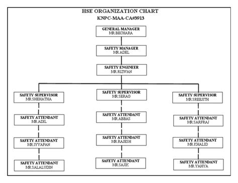 Hse Organization Chart | PDF