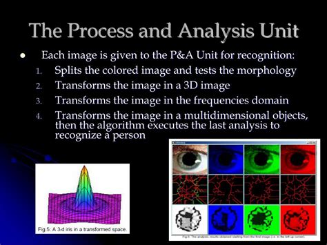 Ppt Iris Recognition Powerpoint Presentation Free Download Id1761391